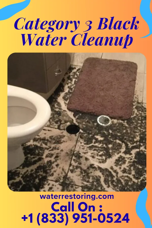 Category 3 Black Water Cleanup in High Amana, IA
