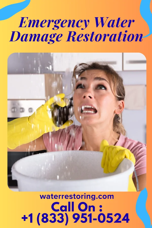 Emergency Water Damage Restoration in High Amana, IA