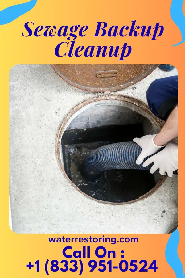 Sewage Backup Cleanup in High Amana, IA