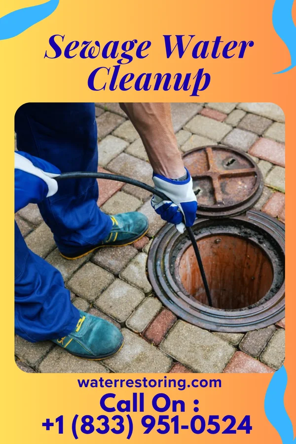 Sewage Water Cleanup in High Amana, IA